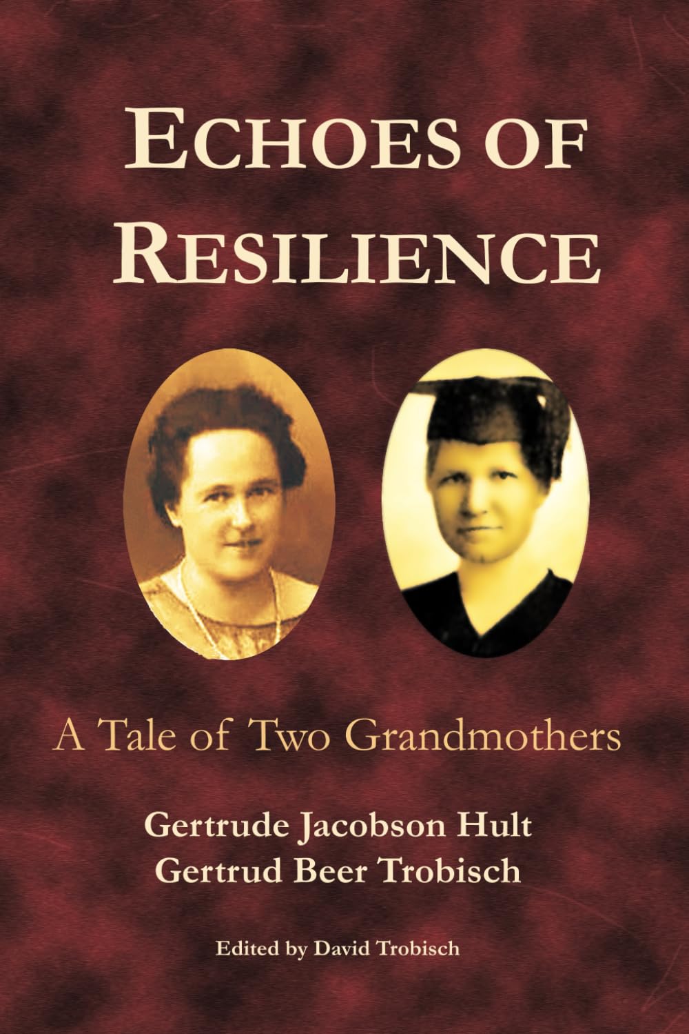 Echoes of Resilience: A Tale of Two Grandmothers book