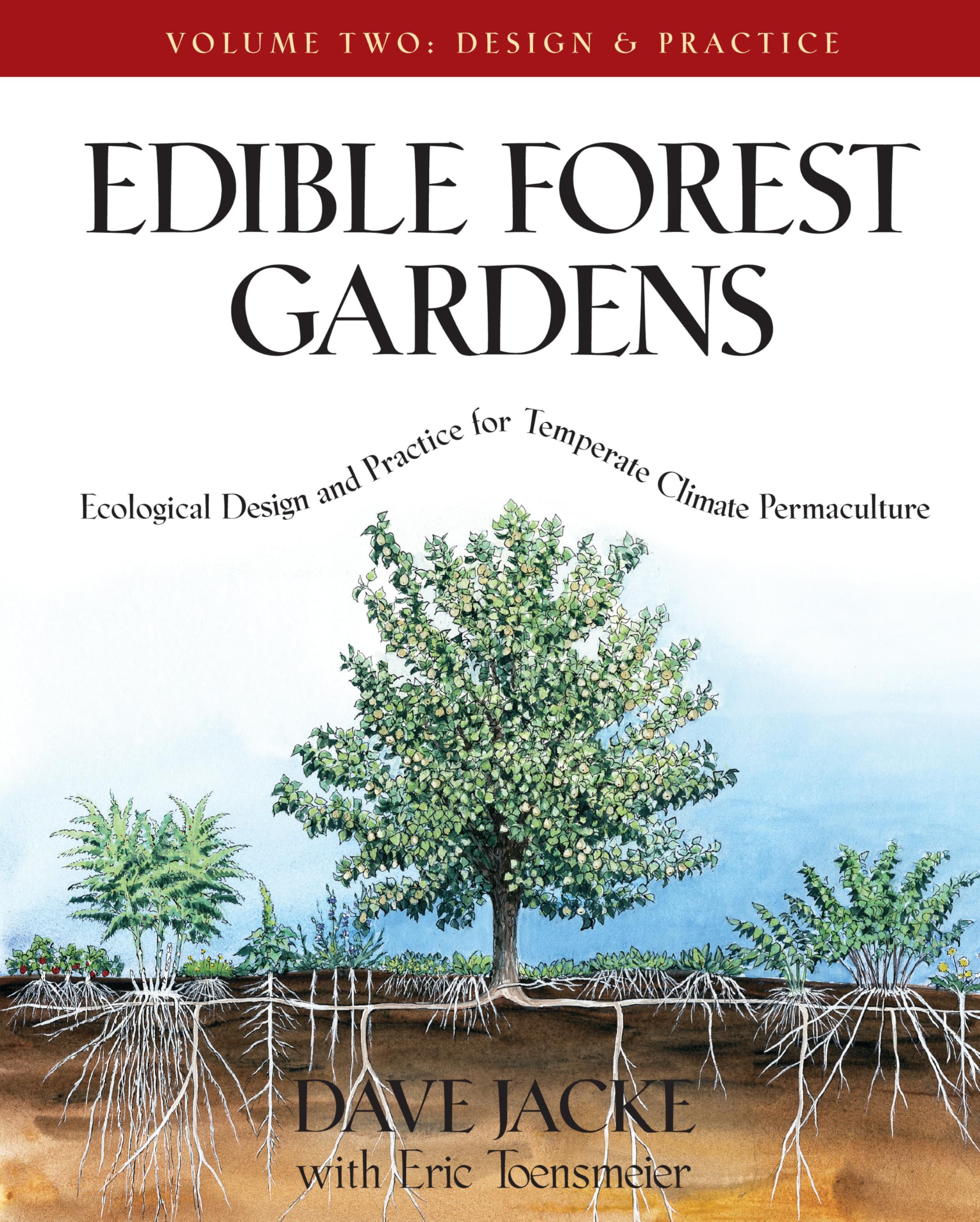 Edible Forest Gardens, Volume II: Ecological Design And Practice for Temperate-Climate Permaculture Mathematics