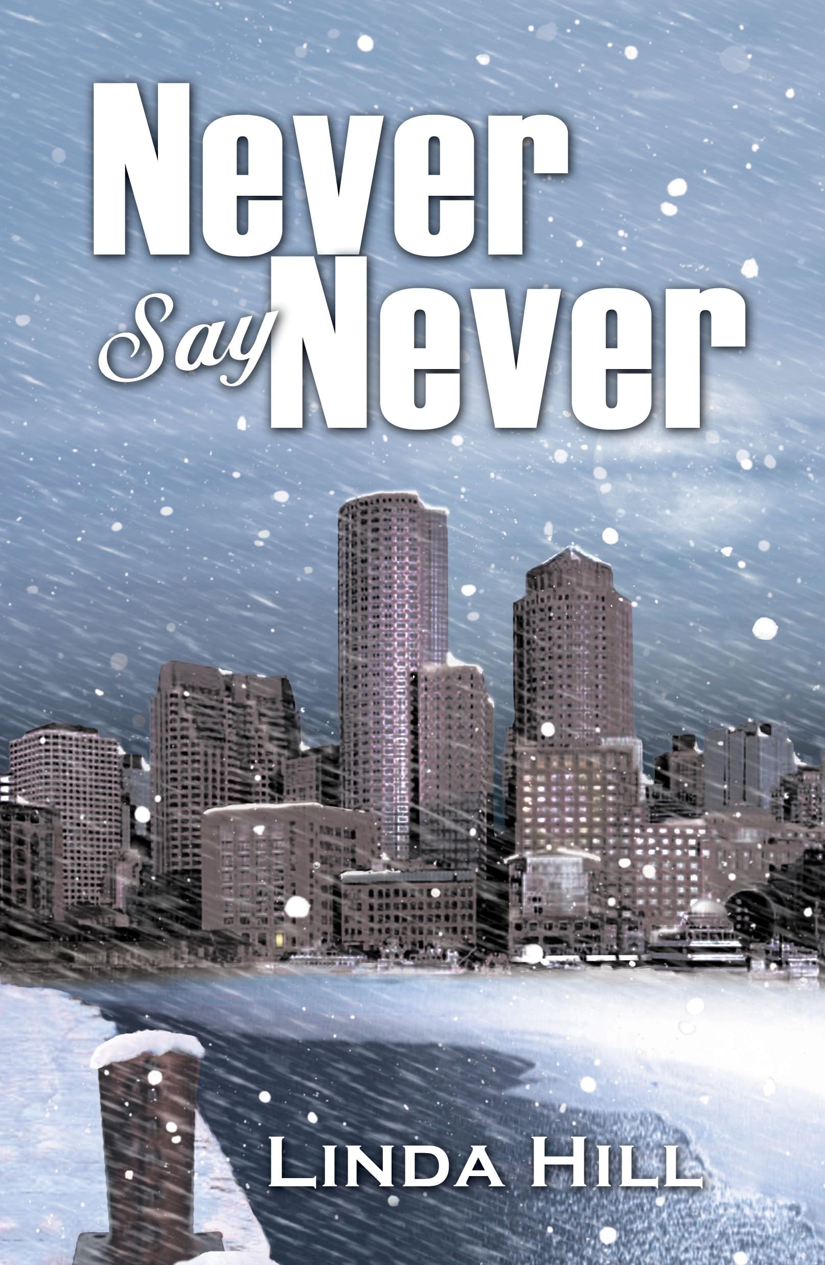 Never Say Never LGBTQ+ Books
