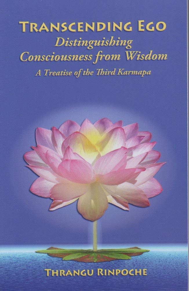 Product Image: Transcending Ego: Distinguishing Consciousness From Wisdom