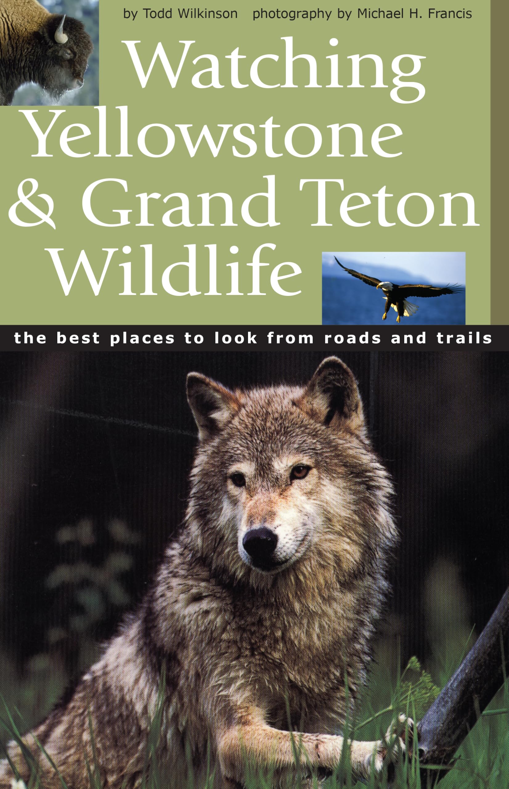 'watching Yellowstone And Grand Teton Wildlife book