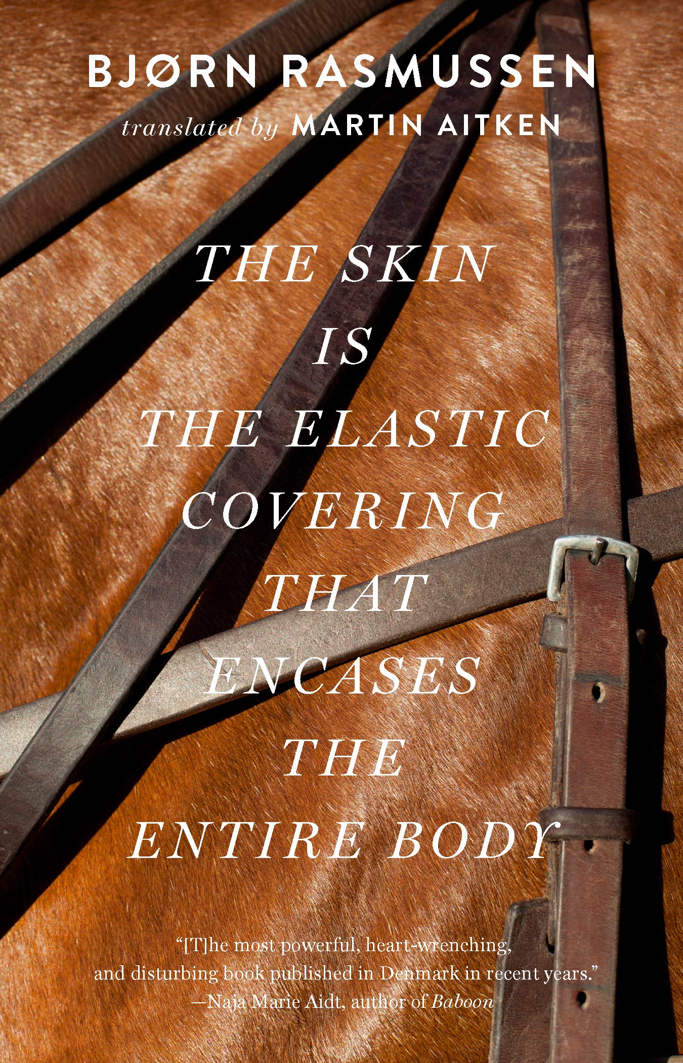 The Skin Is the Elastic Covering That Encases the Entire Body LGBTQ+