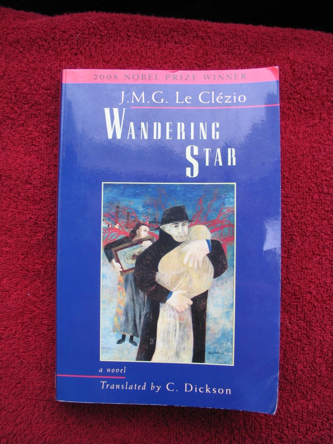 Wandering Star book