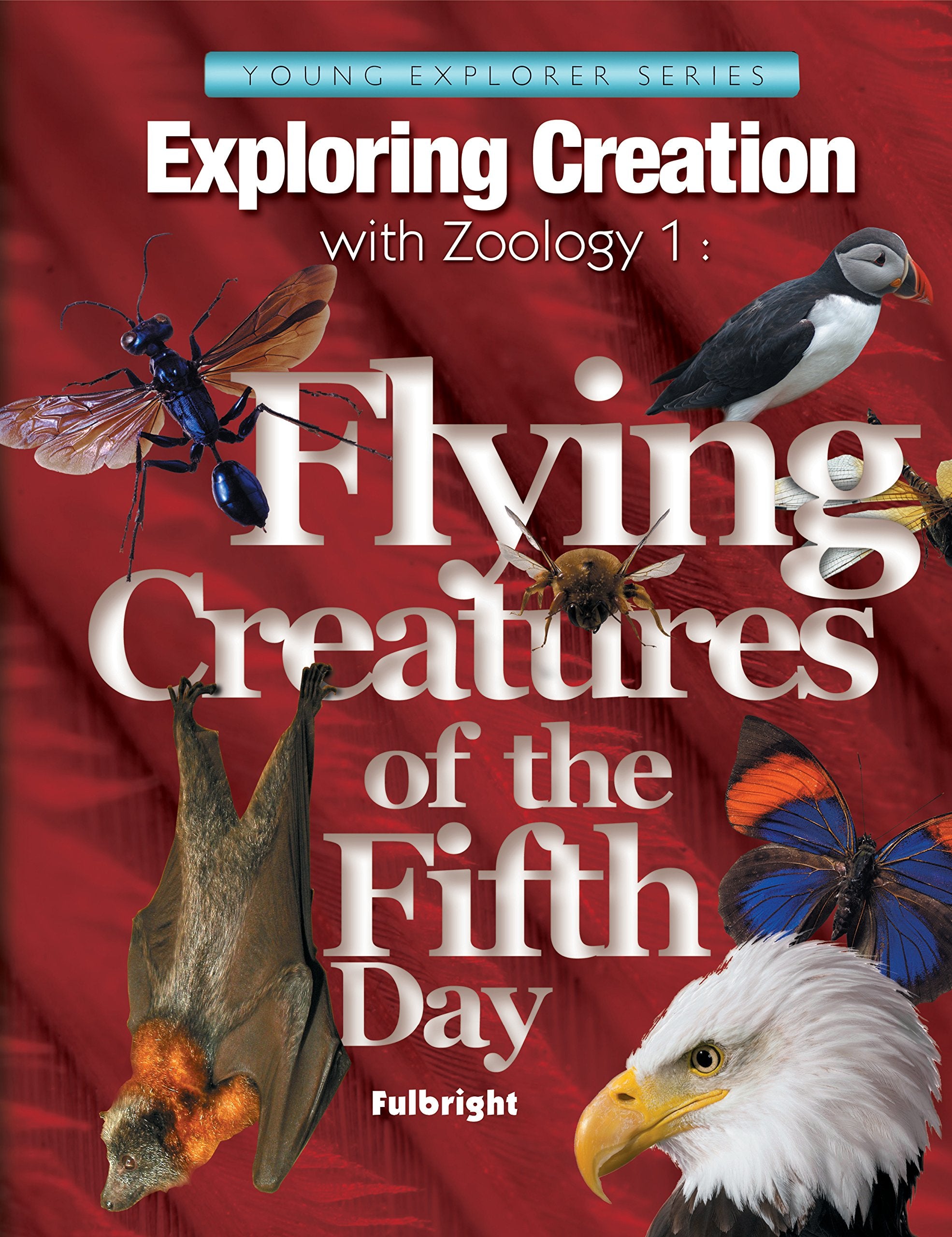 Exploring Creation with Zoology 1: Flying Creatures of the 5th Day (Apologia Science Young Explorers) Books