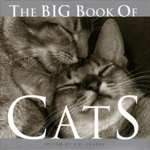 The Big Book of Cats (Big Book of . . . (Welcome Books)) Nature & Animals