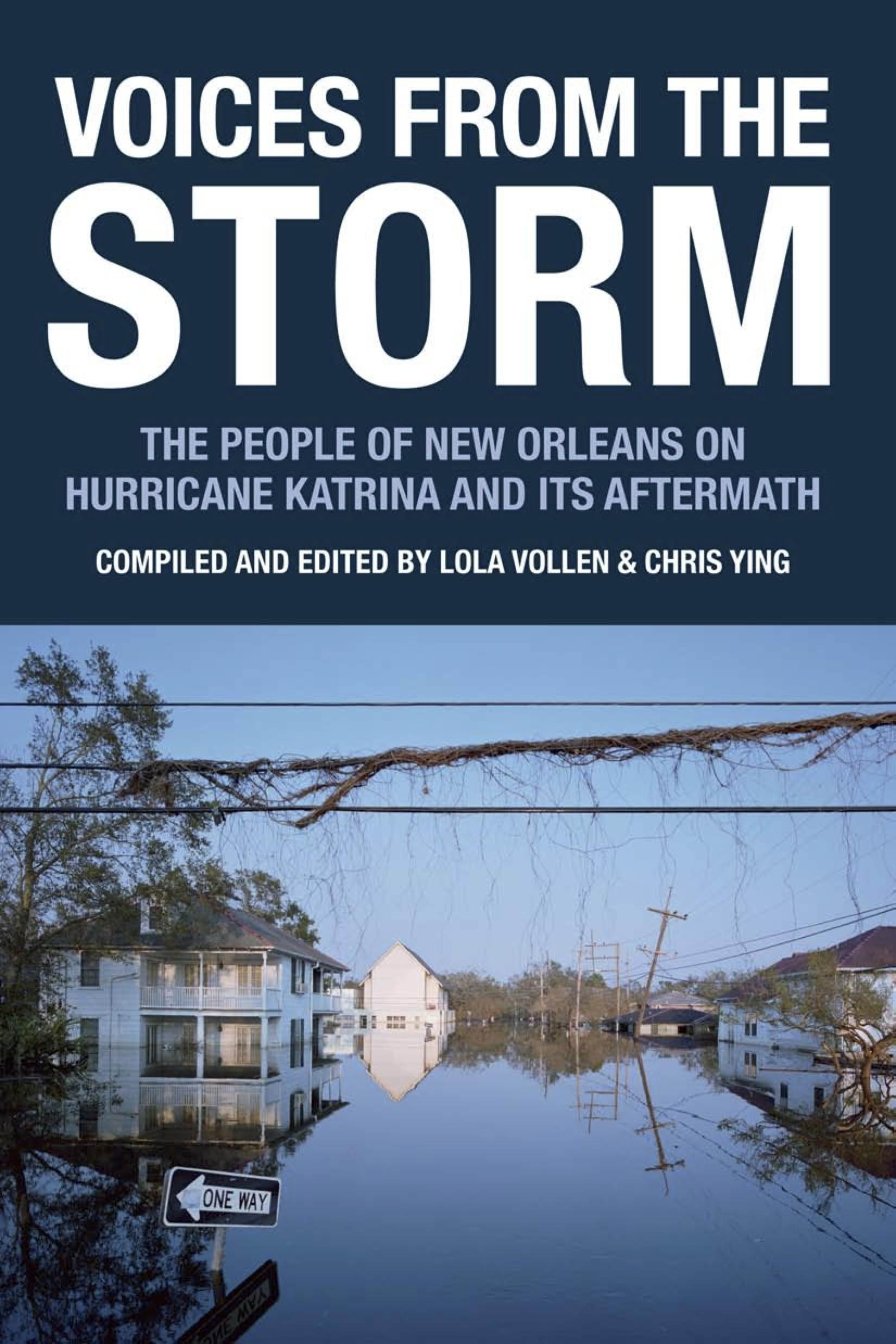Product Image: Voices from the Storm