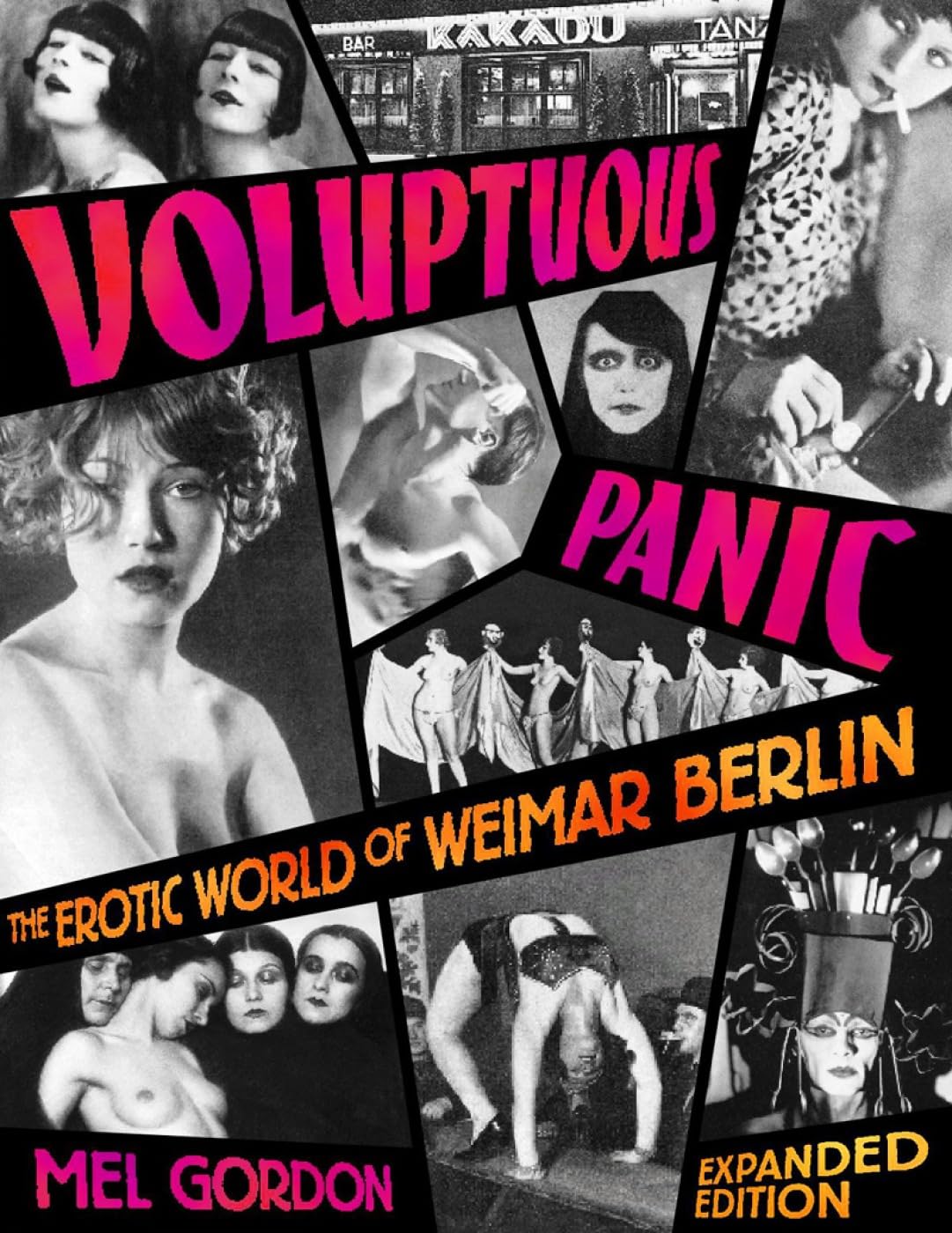 Voluptuous Panic: The Erotic World of Weimar Berlin book