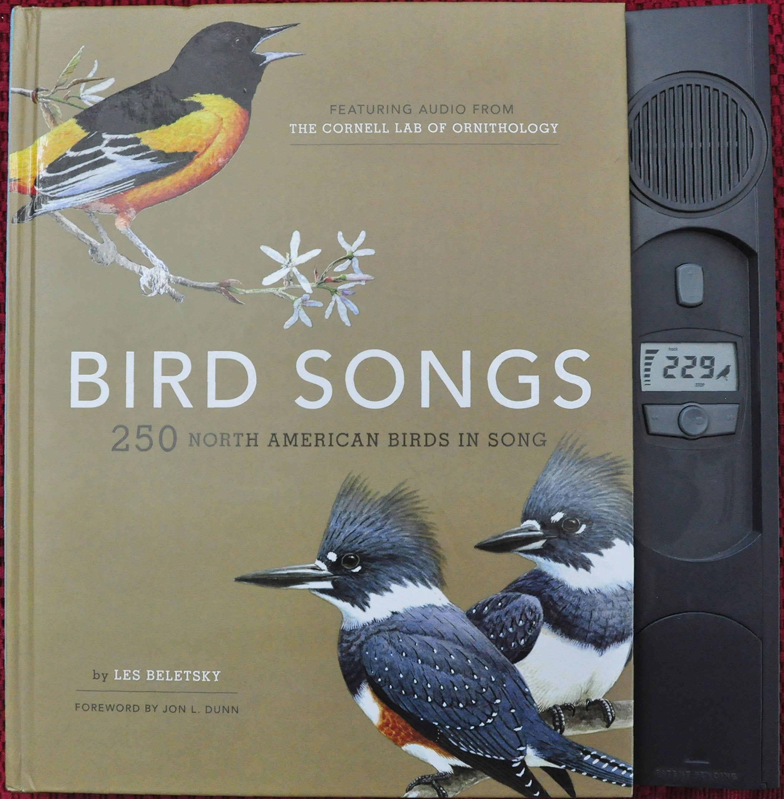 Bird Songs: 250 North American Birds in Song Mathematics