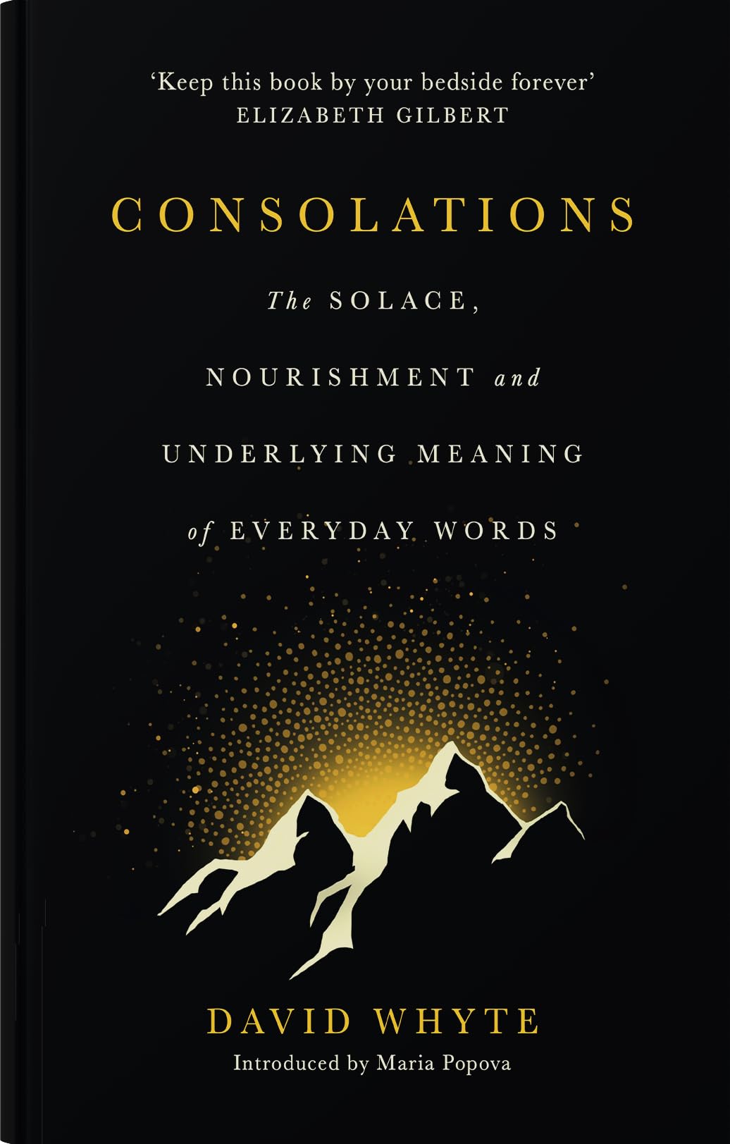 Consolations: The Solace, Nourishment and Underlying Meaning of Everyday Words Philosophy