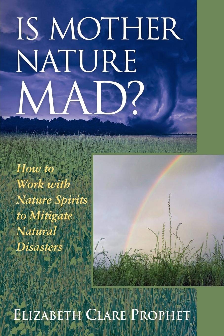 Is Mother Nature Mad?: How to Work With Nature Spirits to Mitigate Natural Disasters book