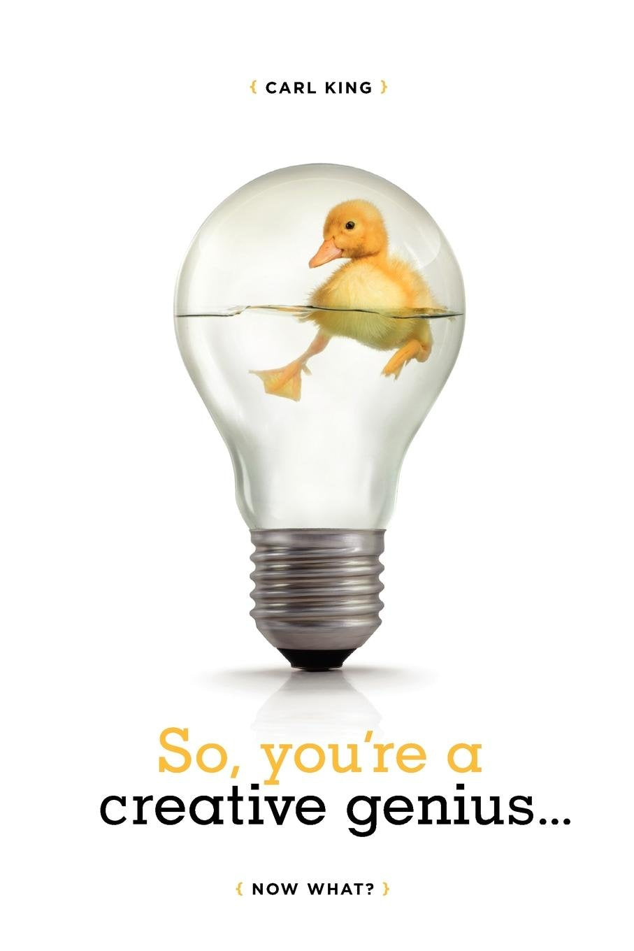 Product Image: So, You're a Creative Genius... Now What?