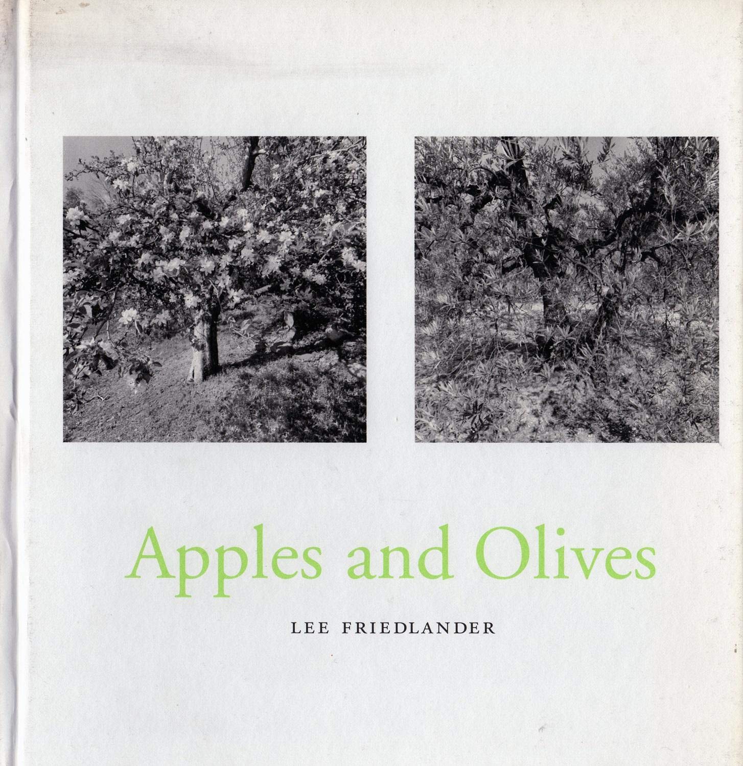 Apples and Olives: Olives and Apples Travel
