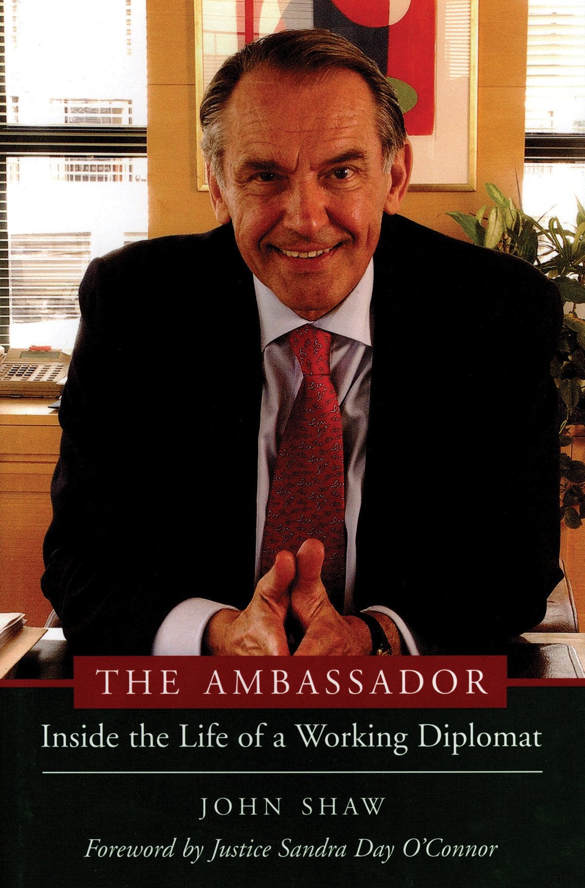 The Ambassador: Inside the Life of a Working Diplomat Politics & Society