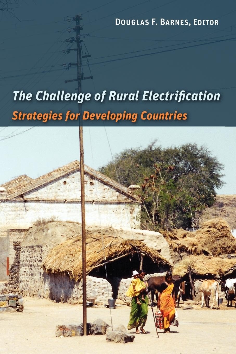 The Challenge of Rural Electrification: Strategies for Developing Countries (Rff Press) Law