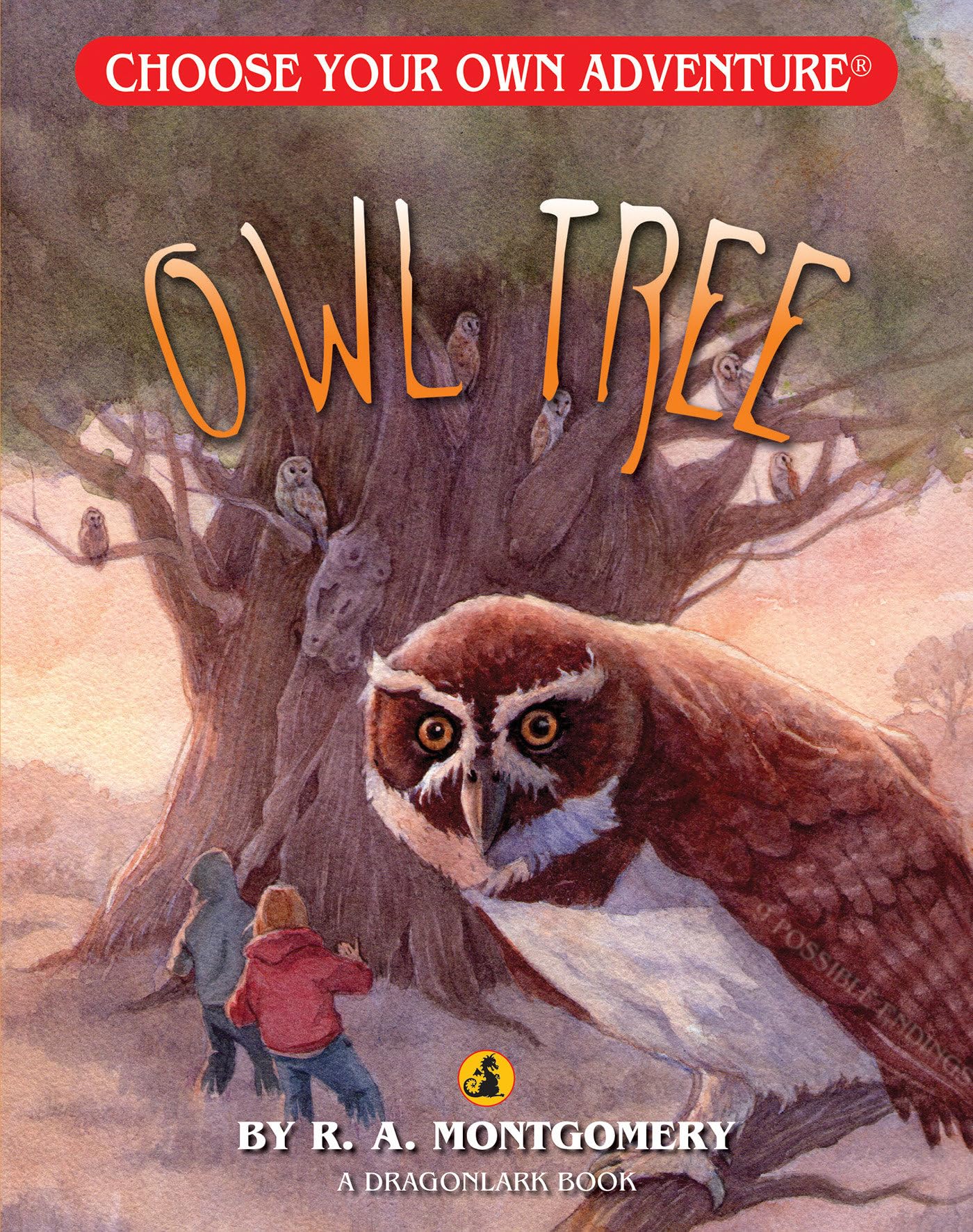 Owl Tree (Choose Your Own Adventure Jr., Band 11) Fairy Tales & Legends