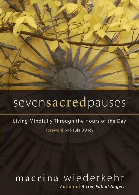 Seven Sacred Pauses Social Sciences