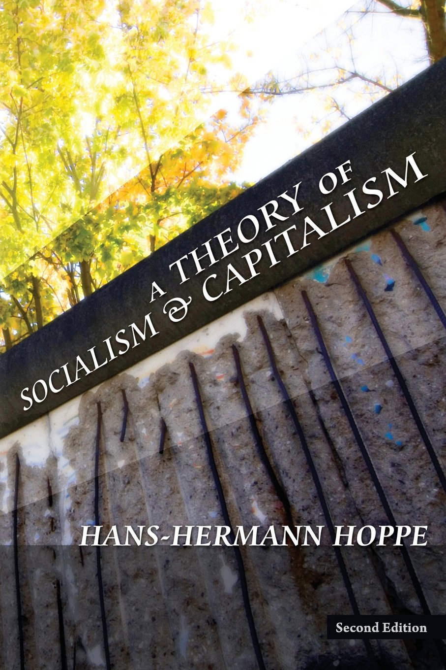 A Theory of Socialism and Capitalism Philosophy