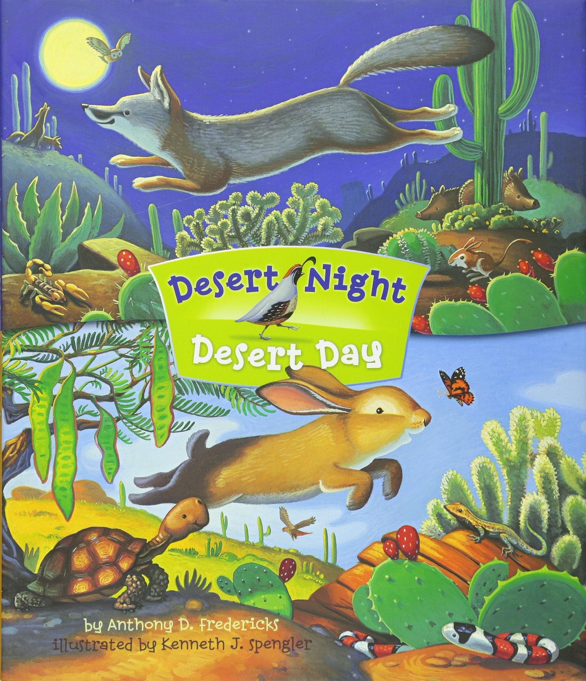 Product Image: Desert Night Desert Day