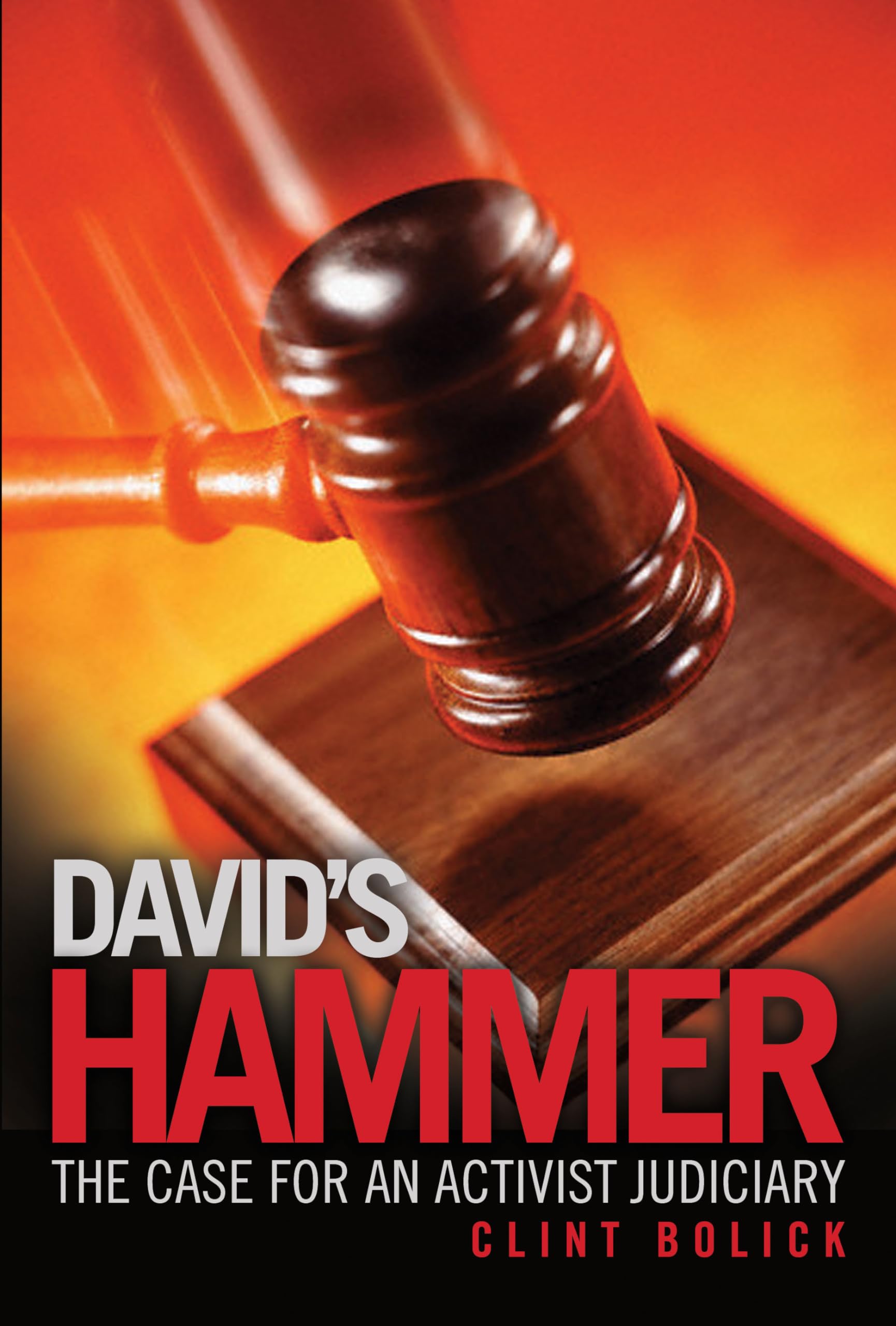 David's Hammer: The Case for an Activist Judiciary Law