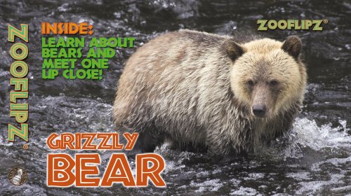 Animal Flipbooks (Grizzly Bear) Books