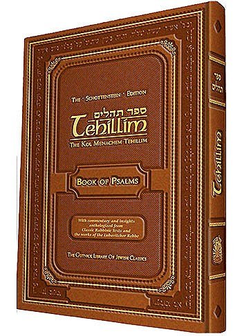 Tehillim: Book of Psalms Religion & Esotericism