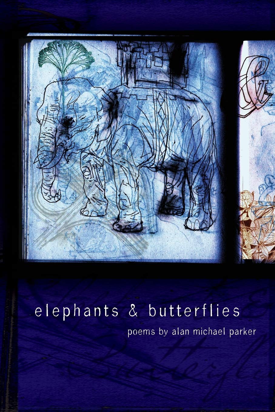 Elephants & Butterflies (American Poets Continuum Series, Band 111) Philosophy