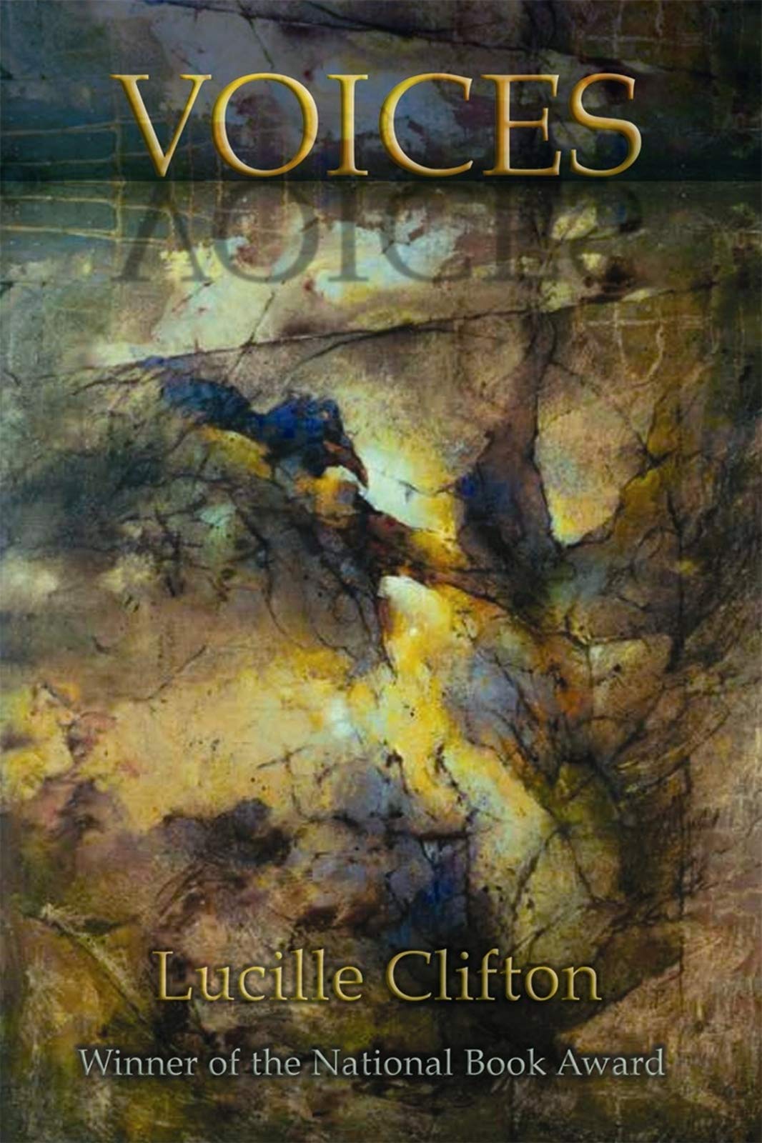 Voices (American Poets Continuum, 112, Band 112) Social Sciences