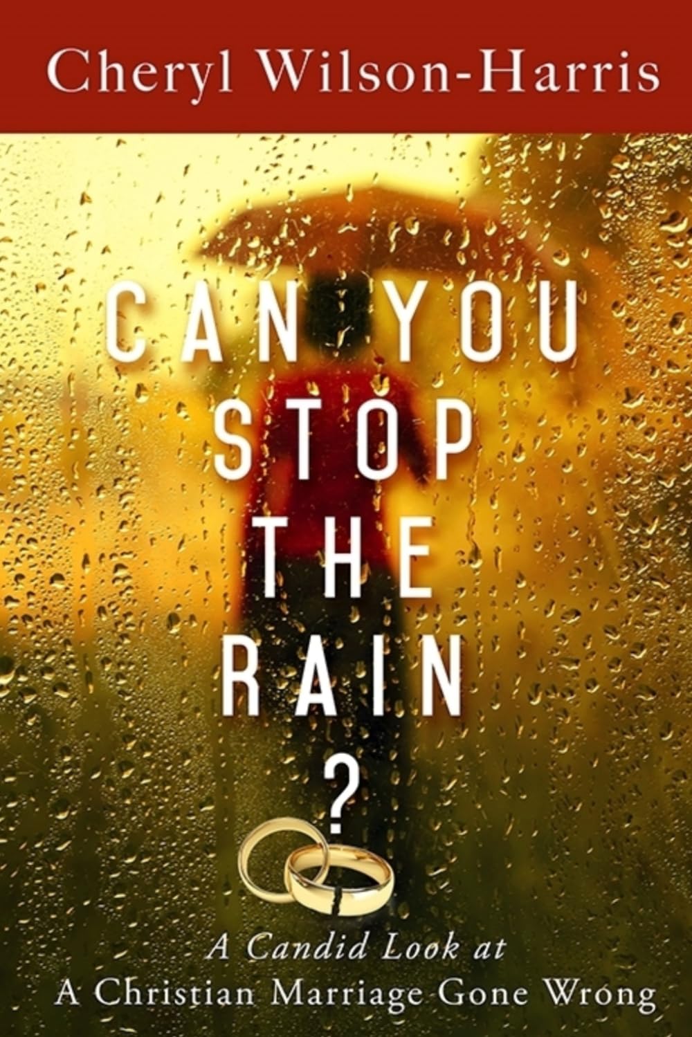 Can You Stop the Rain?: A Candid Look at a Christian Marriage Gone Wrong Social Sciences