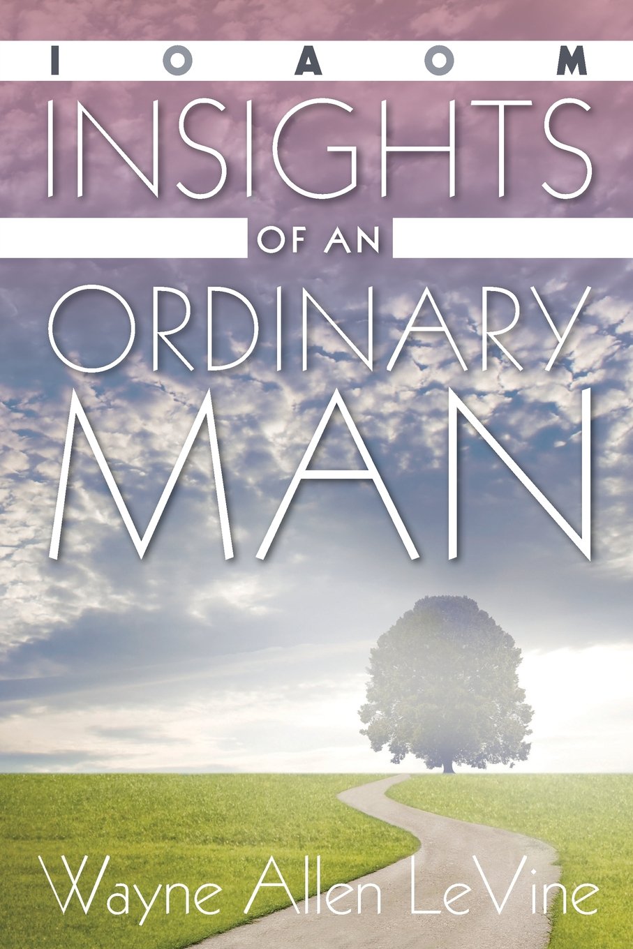 Insights of an Ordinary Man: 2016 Edition Contemporary literature