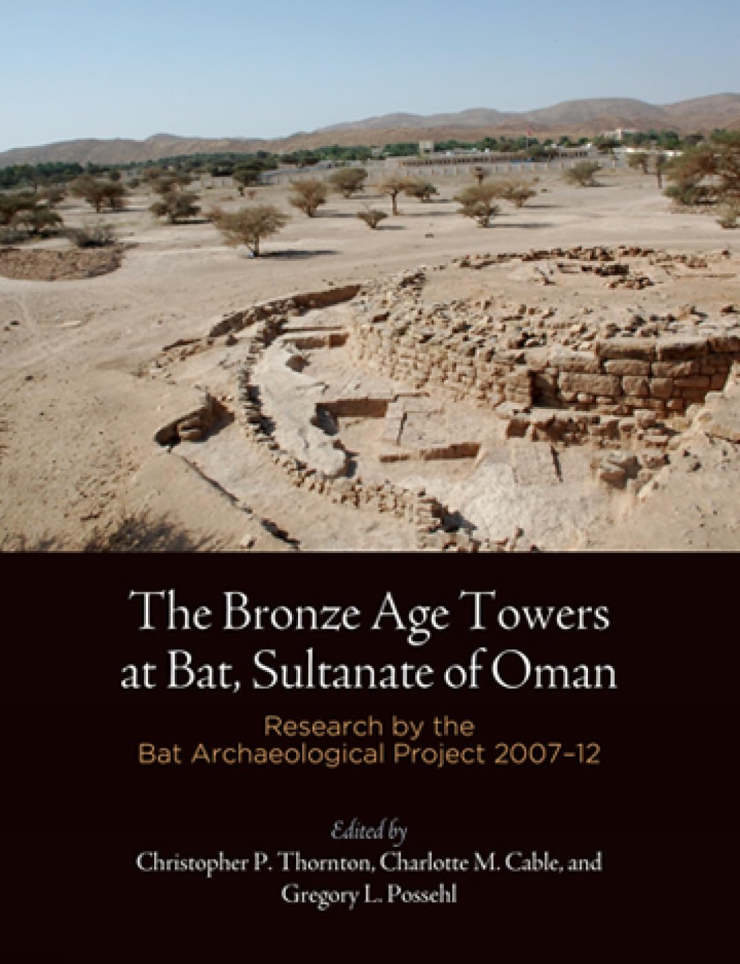 The Bronze Age Towers at Bat, Sultanate of Oman: Research by the Bat Archaeological Project, 2007-12 book