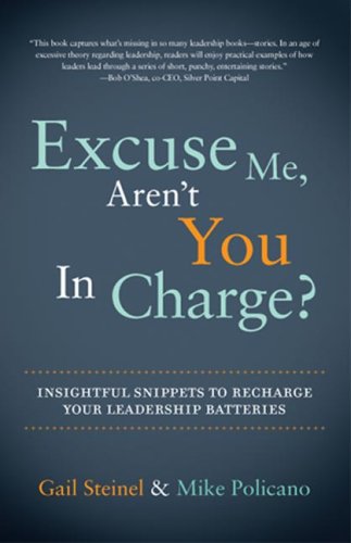 Excuse Me, Aren't You in Charge?: Insightful Snippets to Recharge Your Leadership Batteries Business, Finance & Career