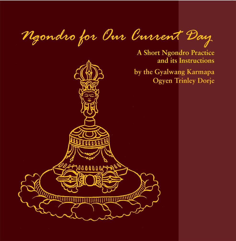 Ngondro for Our Current Day: A Short Ngondro Practice and Its Instructions Social Sciences