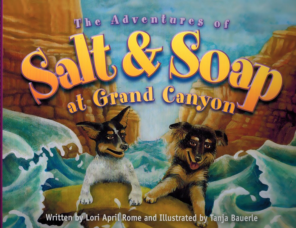 The Adventures of Salt & Soap at the Grand Canyon book