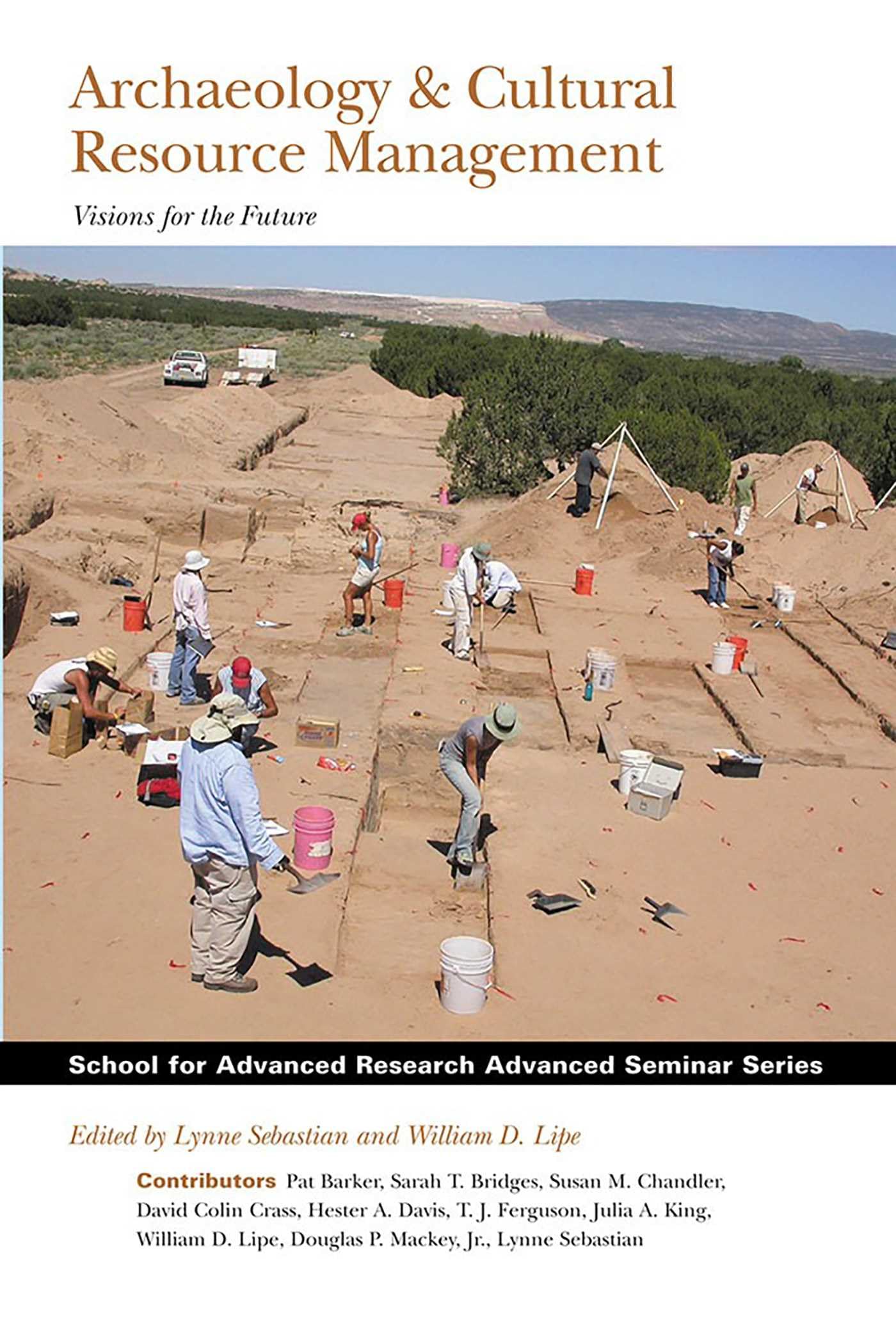 Archaeology and Cultural Resource Management: Visions for the Future (School for Advanced Research Advanced Seminar Series) General education