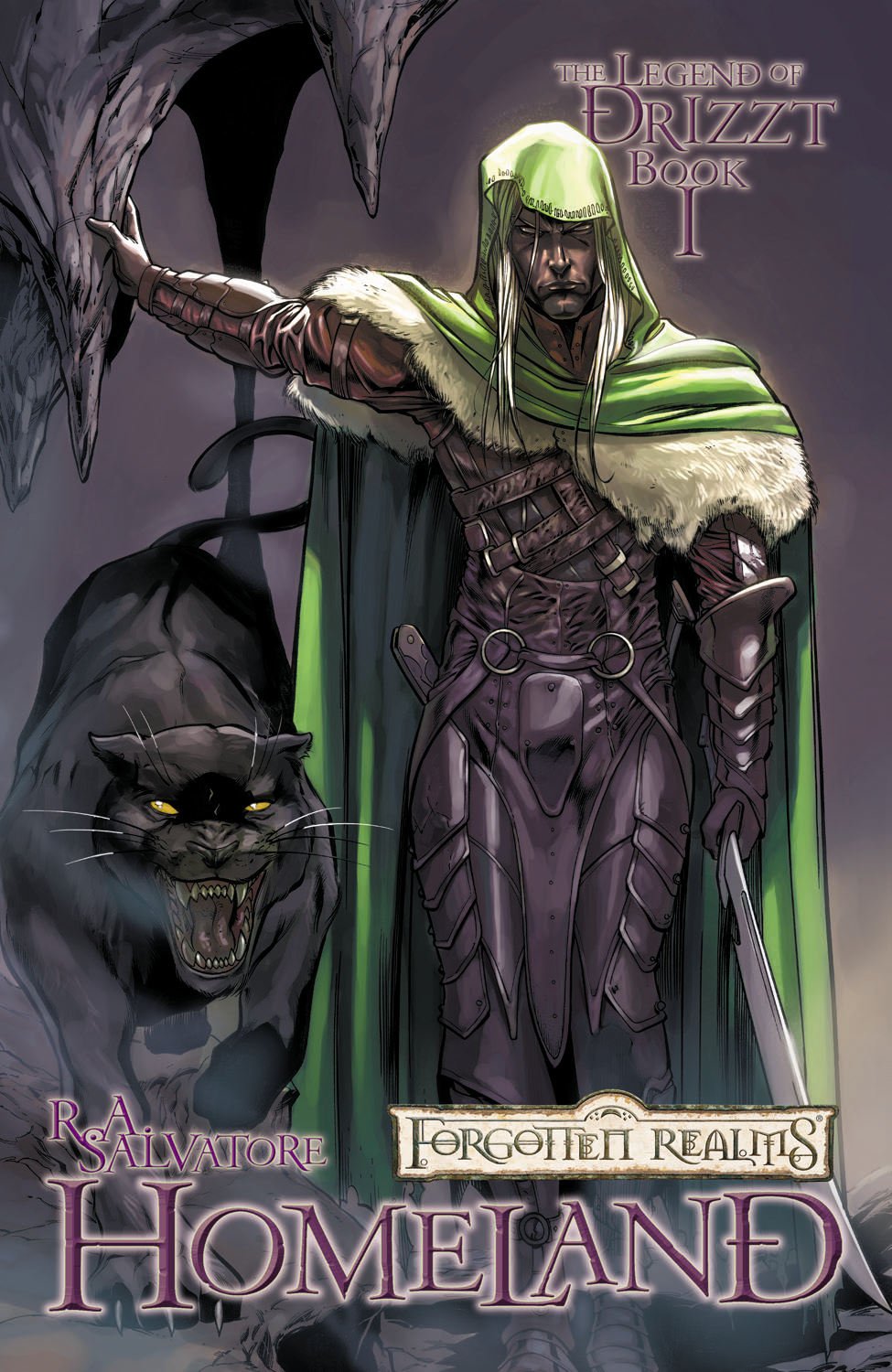Forgotten Realms Legend of Drizzt Graphic Novels 1: Homeland Manga