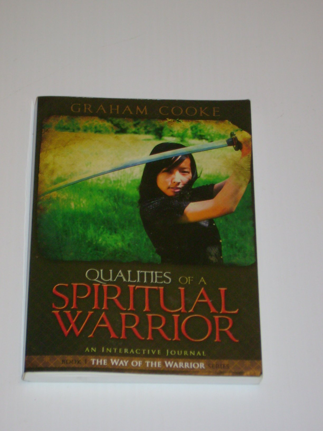Qualities of a Spiritual Warrior (Way of the Warrior Series) Religion & Esotericism