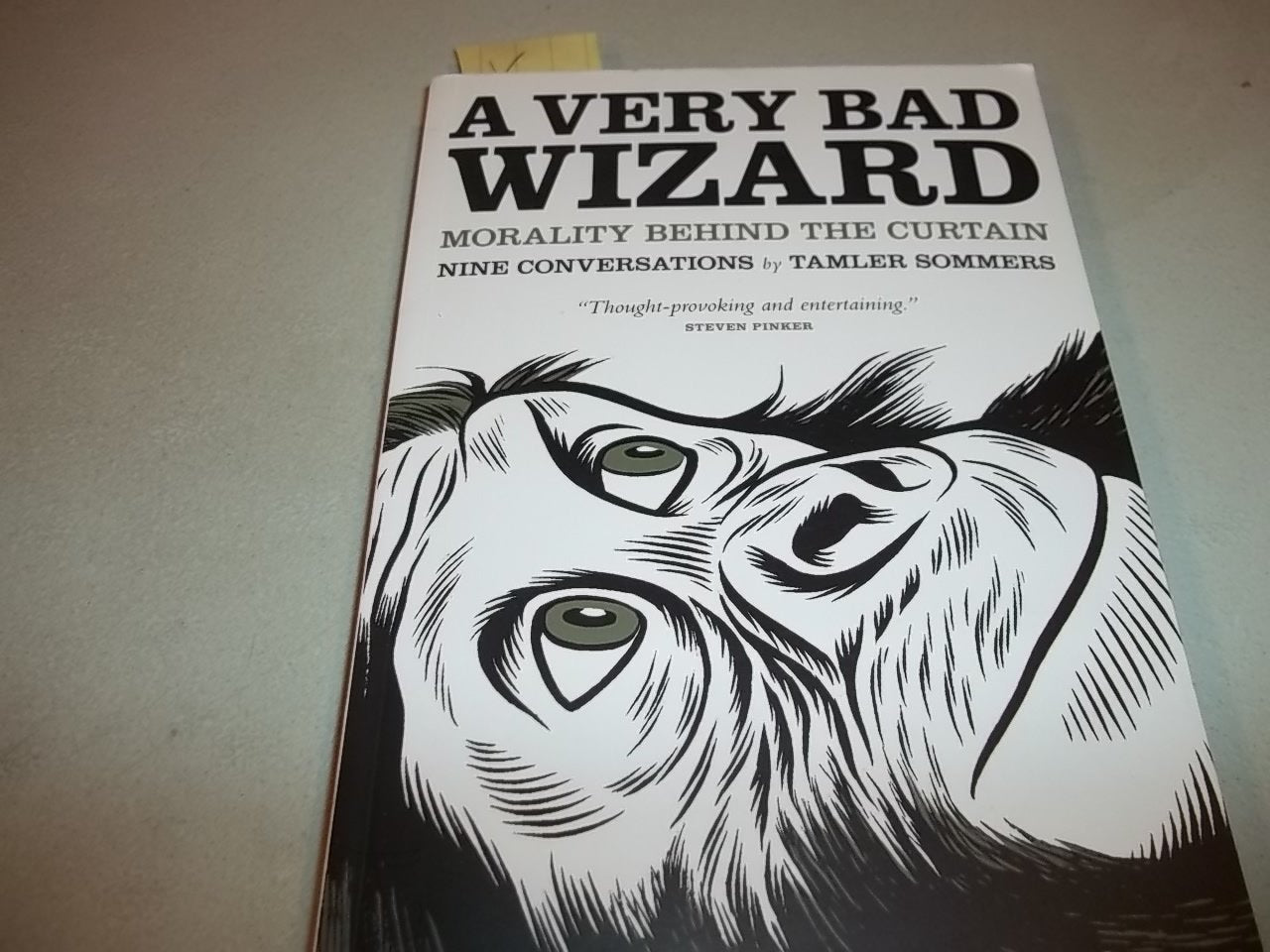 A Very Bad Wizard: Morality Behind the Curtain Philosophy