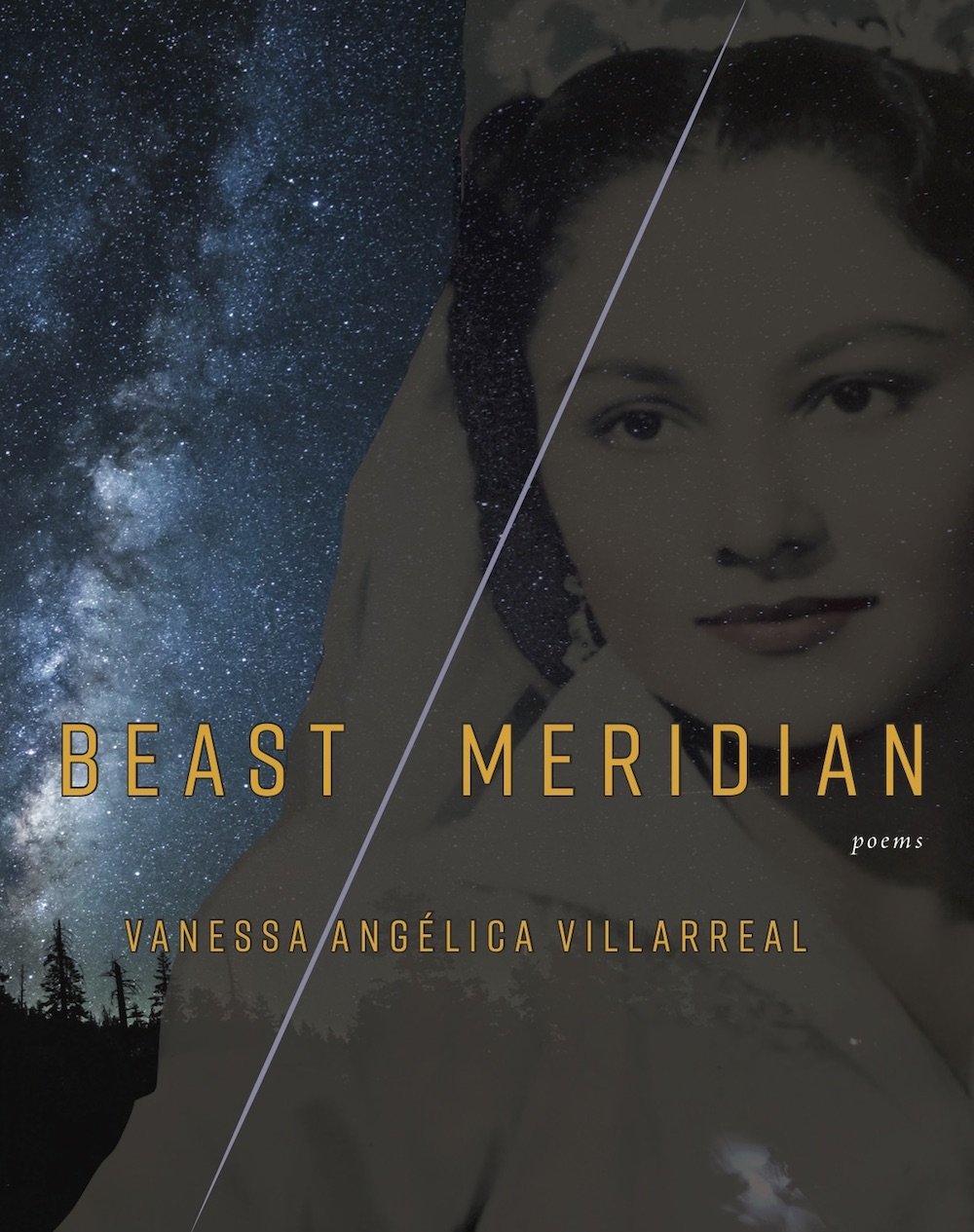 Beast Meridian Poetry