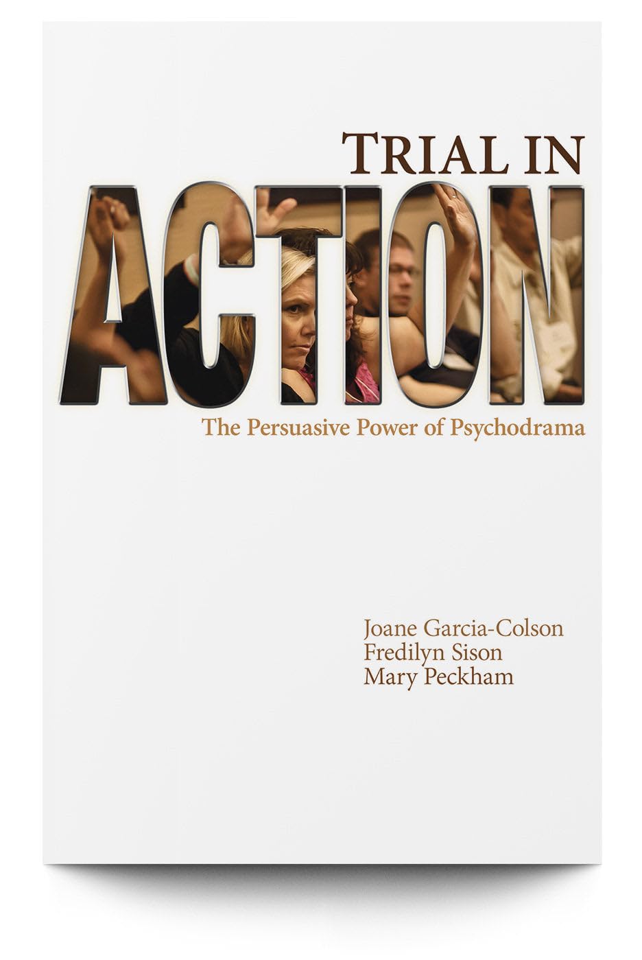 Trial in Action: The Persuasive Power of Psychodrama Books