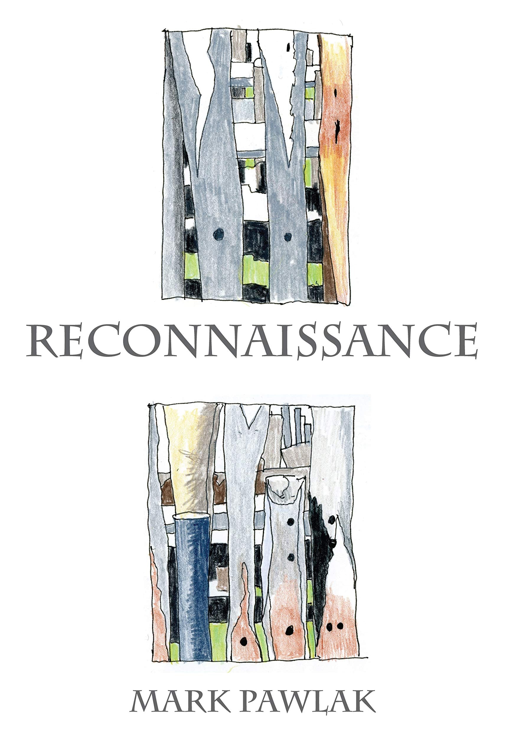 Reconnaissance: New & Selected Poems & Poetic Journals, 2005-2015 Poetry