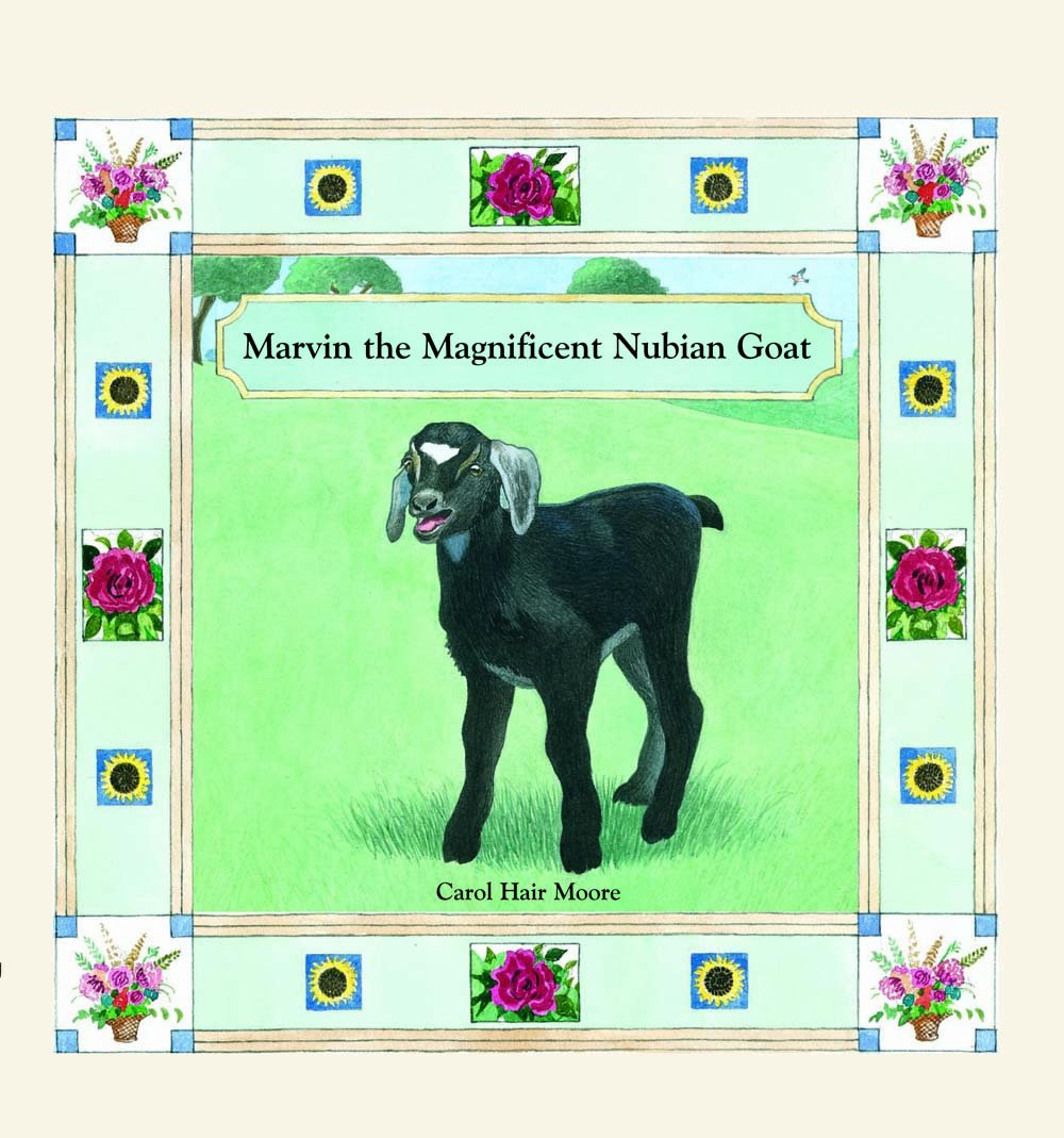 Marvin the Magnificent Nubian Goat (I Wish You Ice Cream and Cake, Band 1) Novels & Short Stories