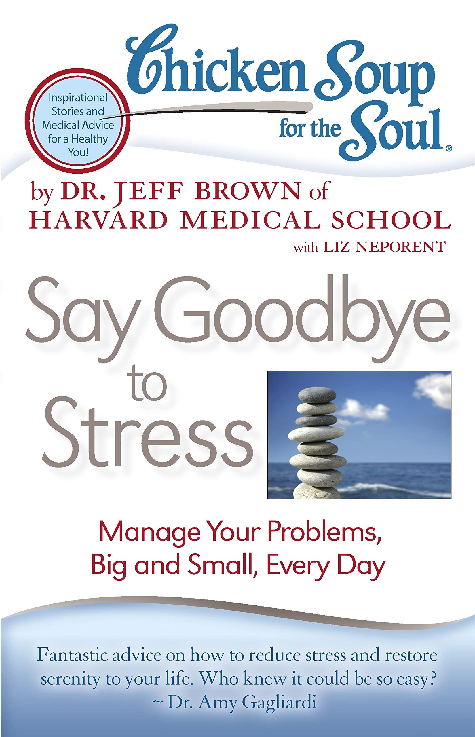 Chicken Soup for the Soul: Say Goodbye to Stress: Manage Your Problems, Big and Small, Every Day Business, Finance & Career