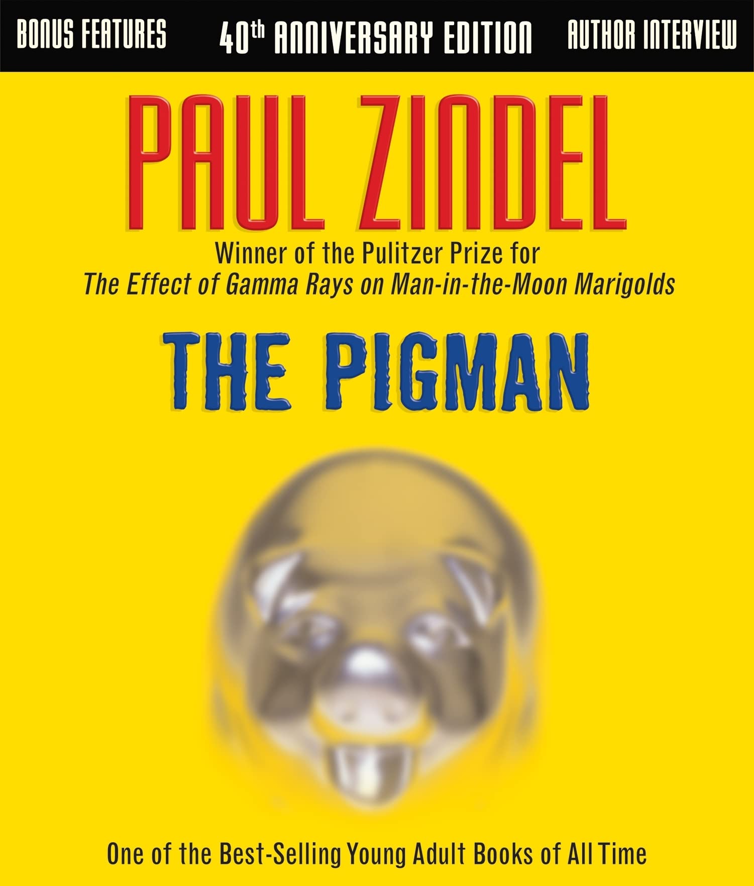 The Pigman Fiction books for children