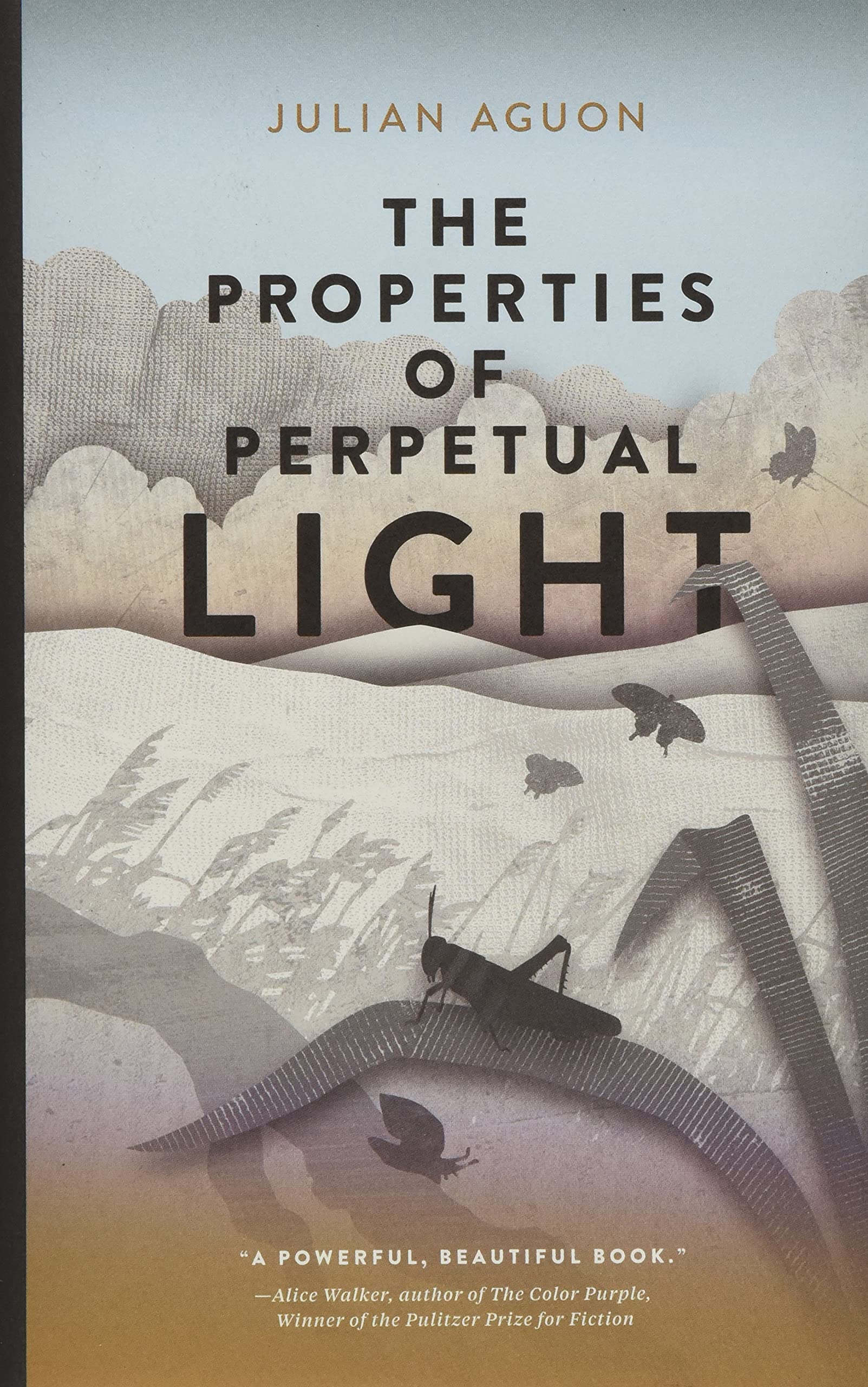 The Properties of Perpetual Light book