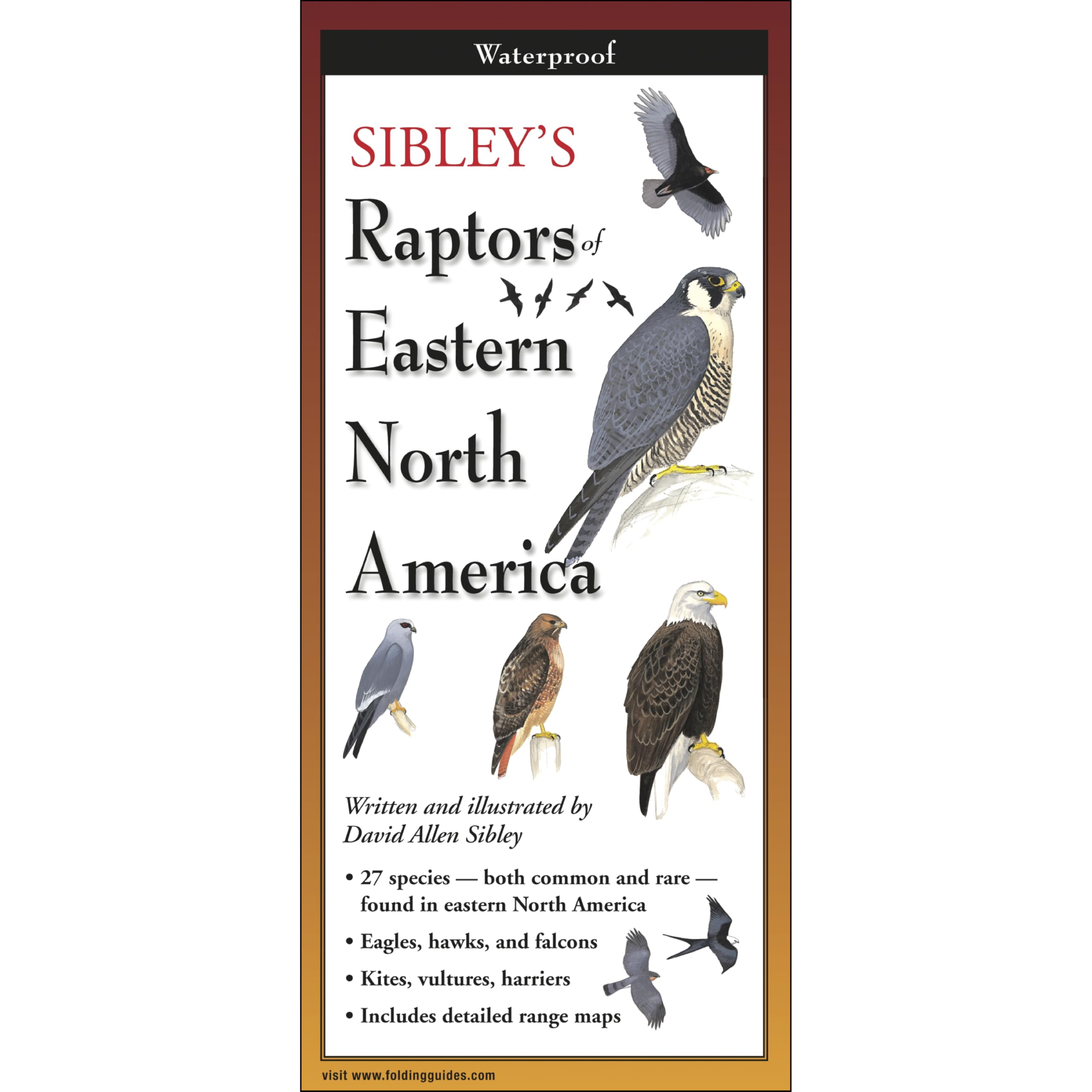 Sibley's Raptors of Eastern North America (Foldingguides) Mathematics