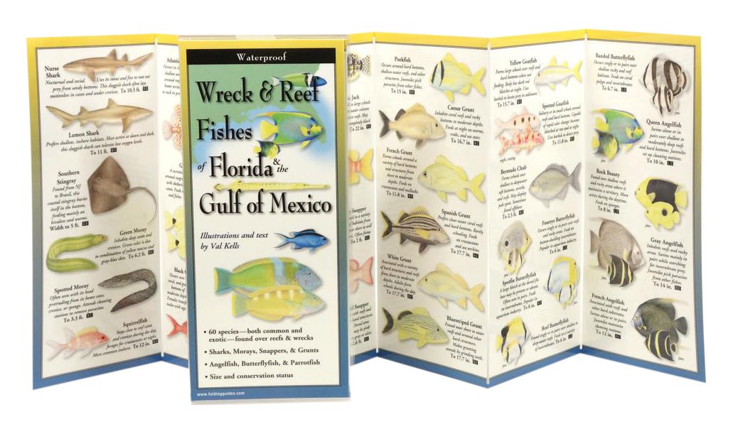 Wreck & Reef Fishes of Florida & Gulf of Mexico (Foldingguides) Mathematics