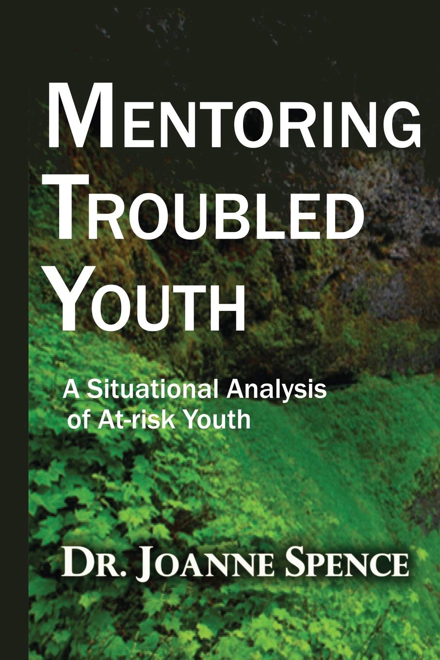 Mentoring Troubled Youth Social Sciences
