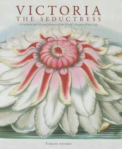 Victoria: The Seductress Books