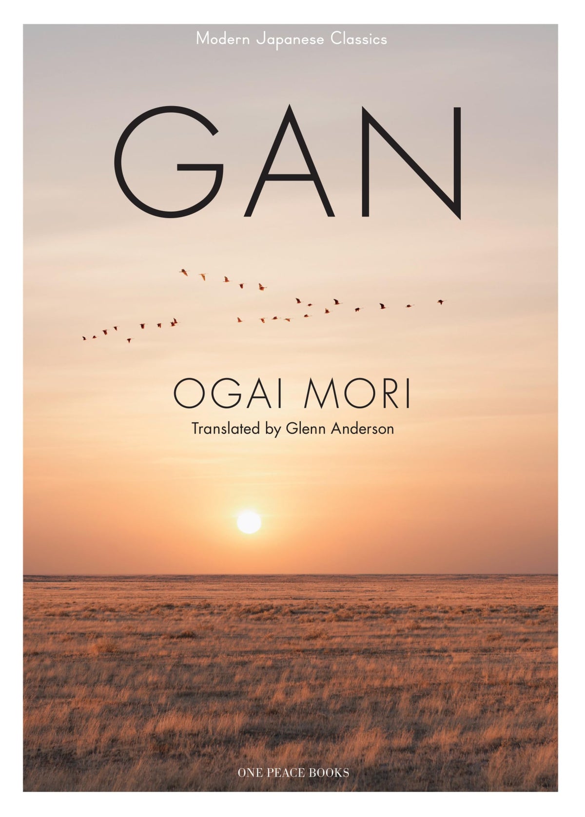 Gan Contemporary literature Books