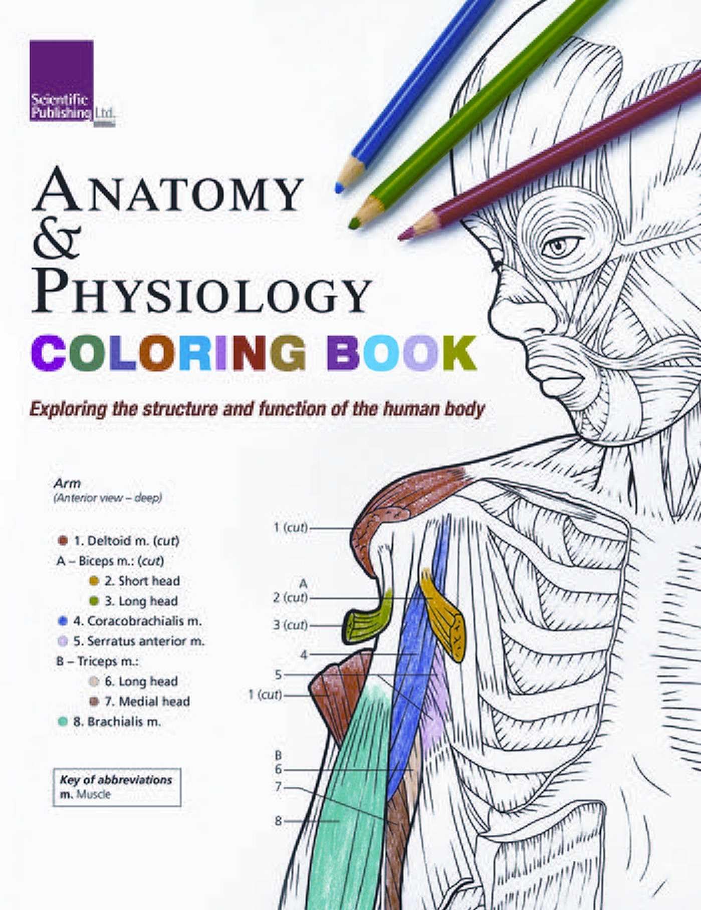 Anatomy & Physiology Colouring Book: Exploring the Structure & Function of the Human Body Medicine